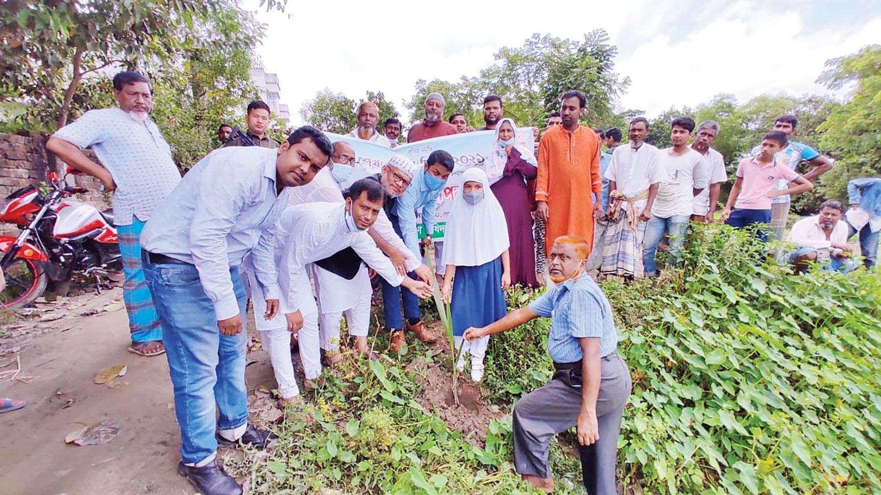 ব্রাহ্মণপাড়ায় ১০০ তালগাছের চারা রোপণ