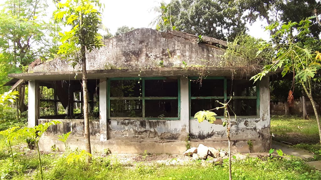 সরকারি খামারে নেই মুরগি