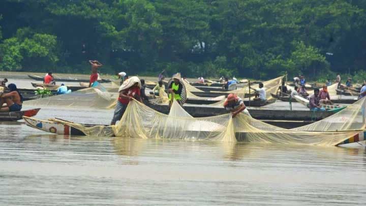 হালদায় ডিম সংগ্রহকারীদের স্বপ্ন দেখাচ্ছে বজ্রবৃষ্টি 