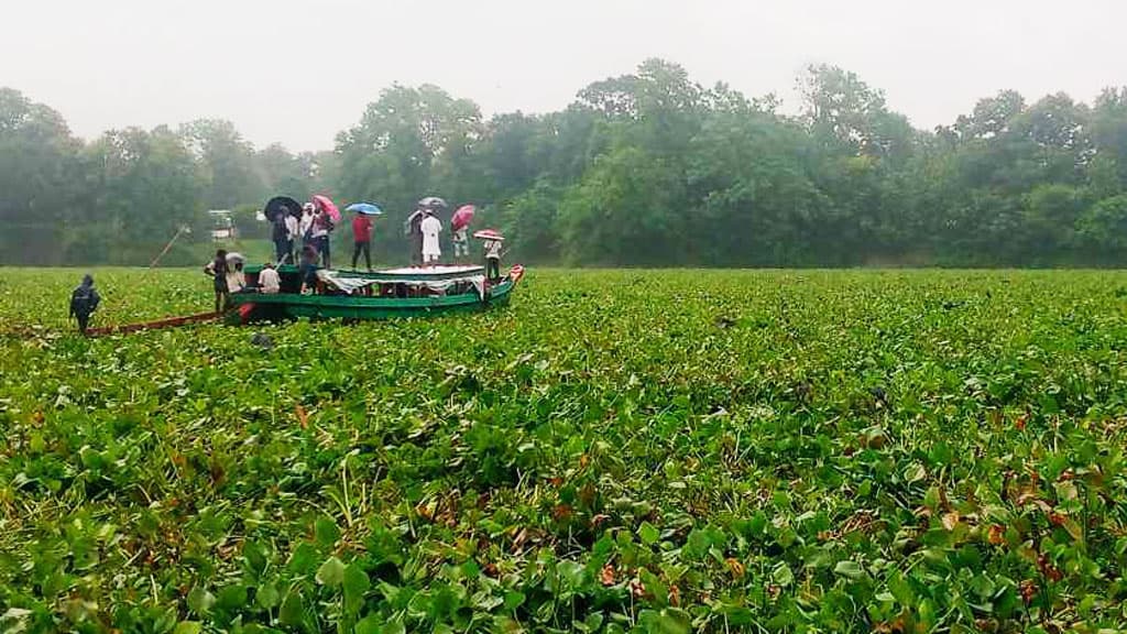 কাপ্তাই লেকে কচুরিপানা, নৌ-চলাচল বন্ধ