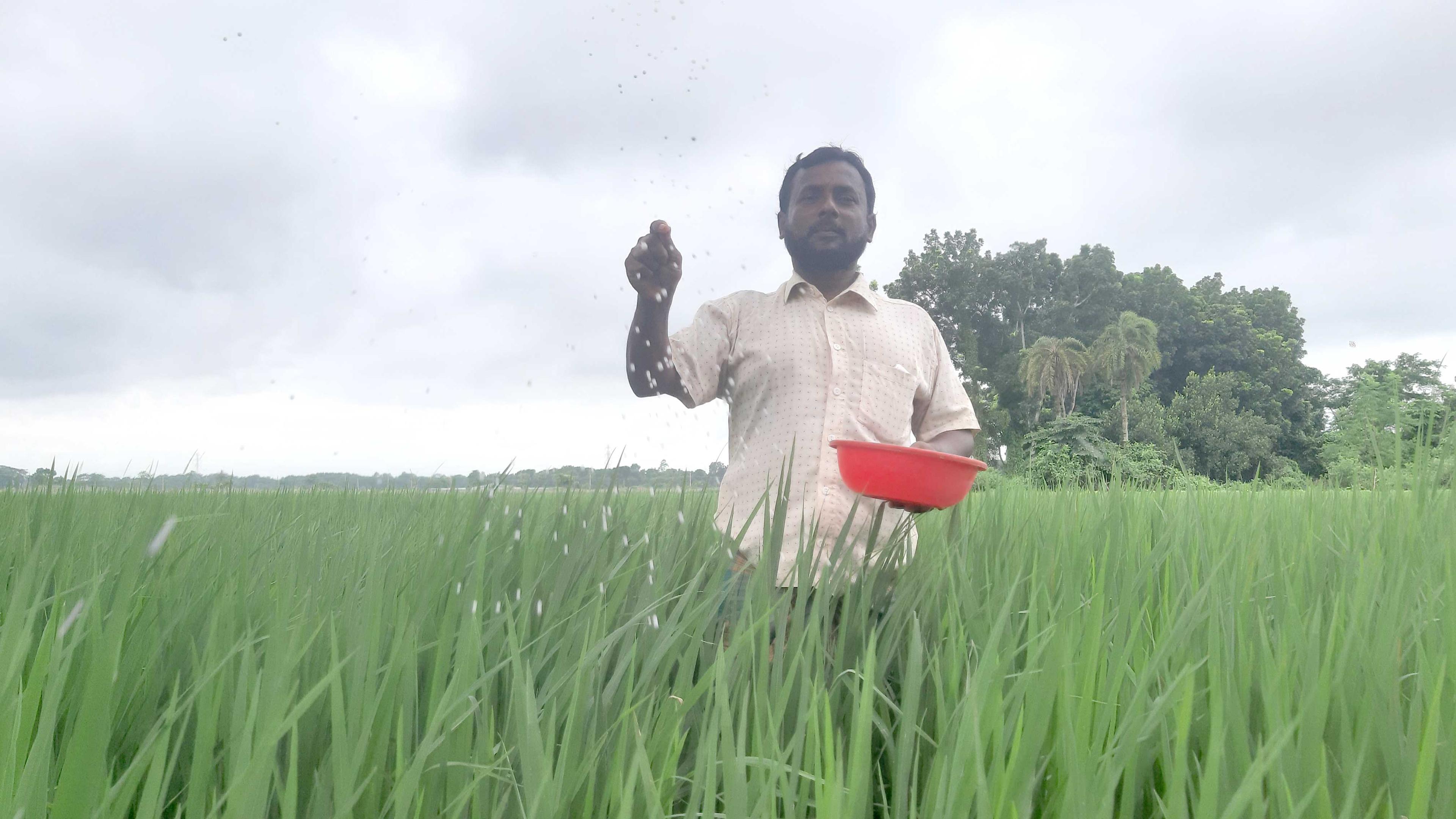 সারের লাগামহীন দাম