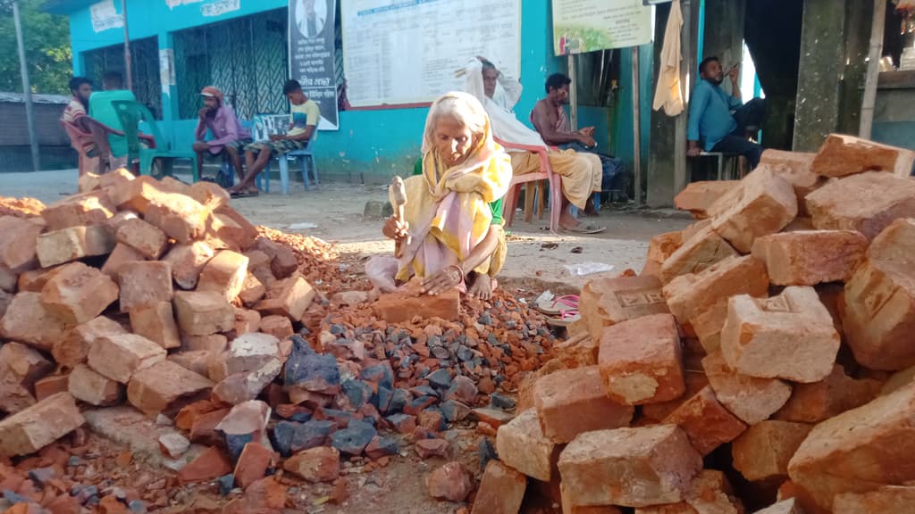 বয়সের ভারে ন্যুব্জ তবু চলে জীবনযুদ্ধ