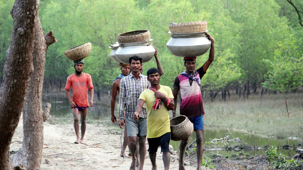 নিষিদ্ধ জালে মারা পড়ছে পোনা