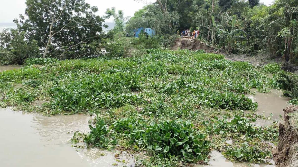 আড়িয়াল খাঁ-সুগন্ধায় ভাঙনবিলীন বসতবাড়ি ও সড়ক