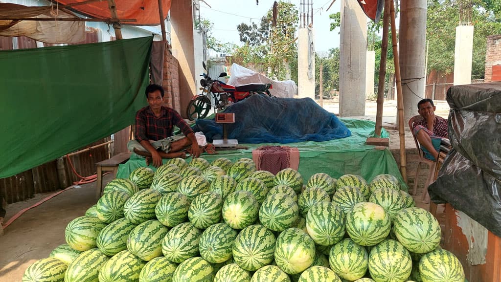 ক্রেতা সংকটে পচছে তরমুজ, বিপাকে ব্যবসায়ীরা 