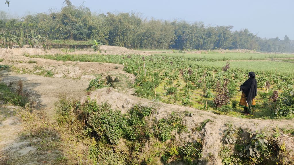 নালার ভাঙনে হুমকিতে আবাদি জমি, বর্ষার আগেই রক্ষণাবেক্ষণের দাবি