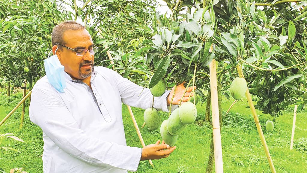 ফল আমদানিতে বাধা পেয়ে নিজেই উদ্যোক্তা