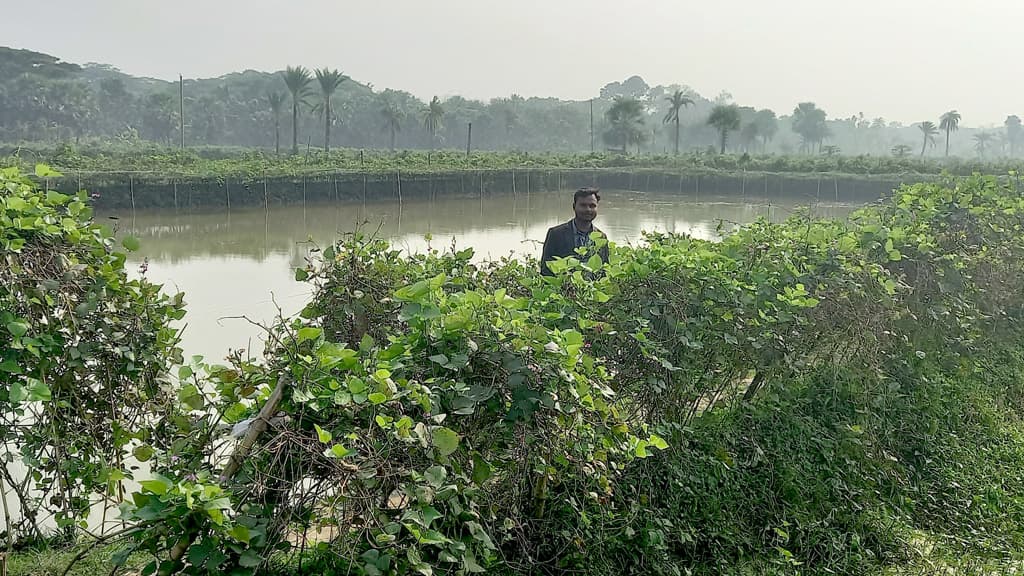 শিমের ফলনে চাষিদের খুশি