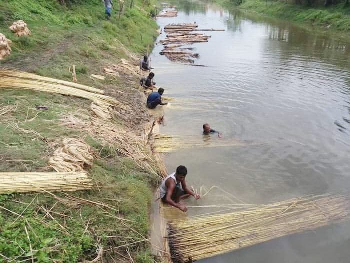 দিনের ছবি (৩১ আগস্ট, ২০২৪)