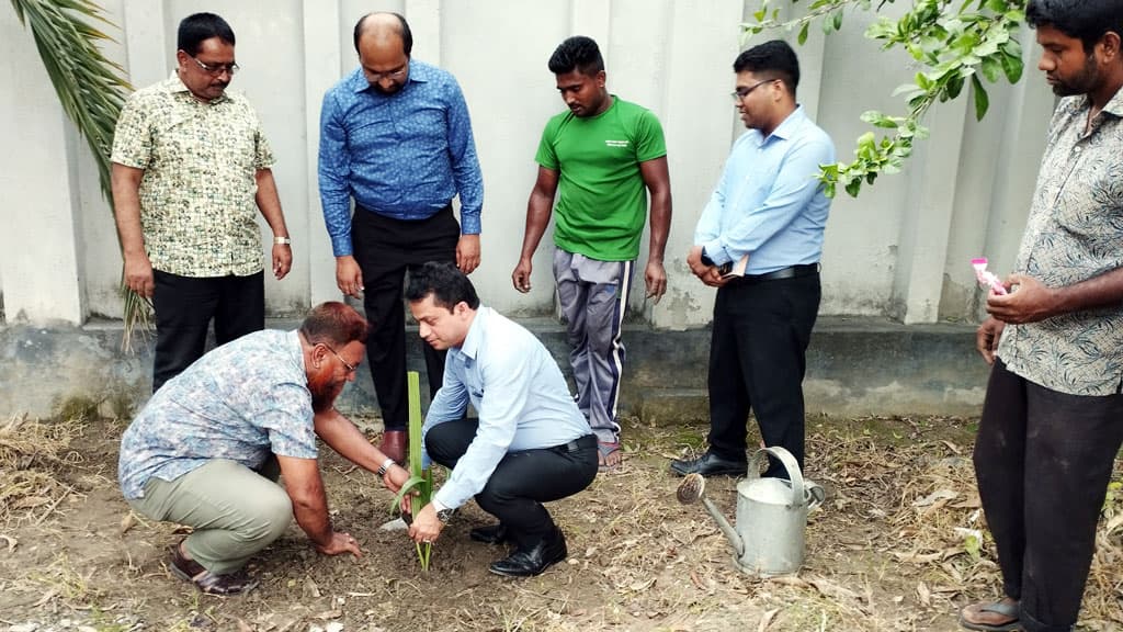 নড়াইলে বজ্রপাত নিরোধে ৪ হাজার তালগাছ রোপণের উদ্যোগ