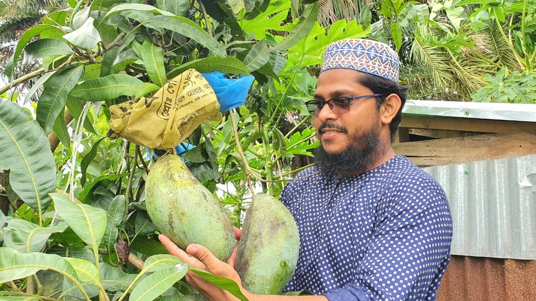 সাড়ে চার কেজির আম দেখতে রাসেলের বাগানে ভিড়