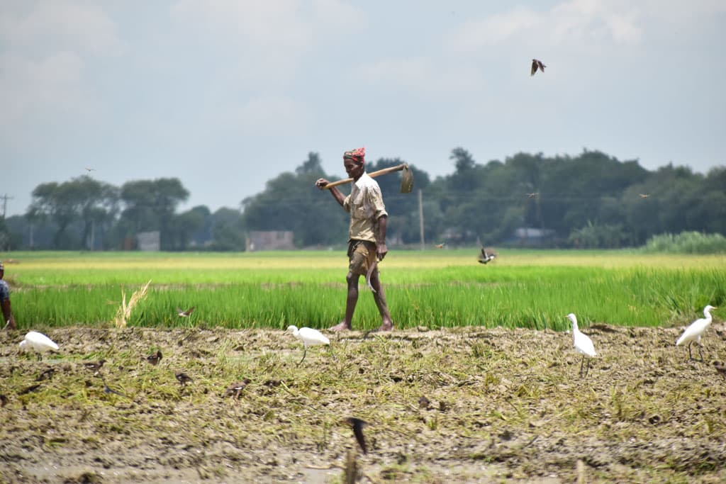 দিনের ছবি (২১ আগস্ট, ২০২৩)