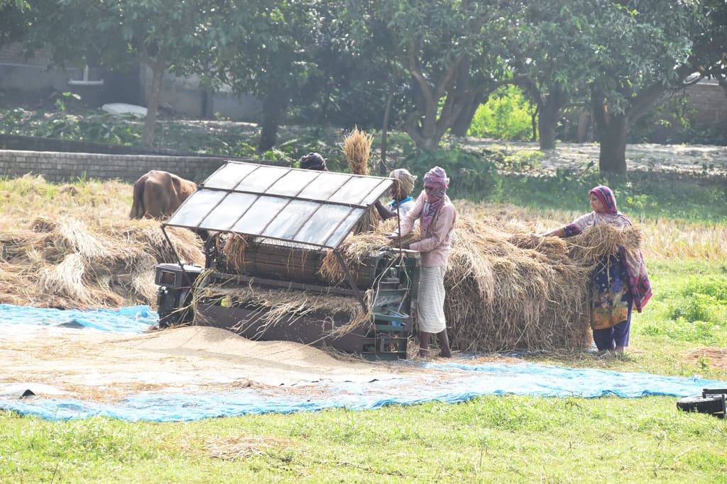 দিনের ছবি (২৮ মে, ২০২৩)