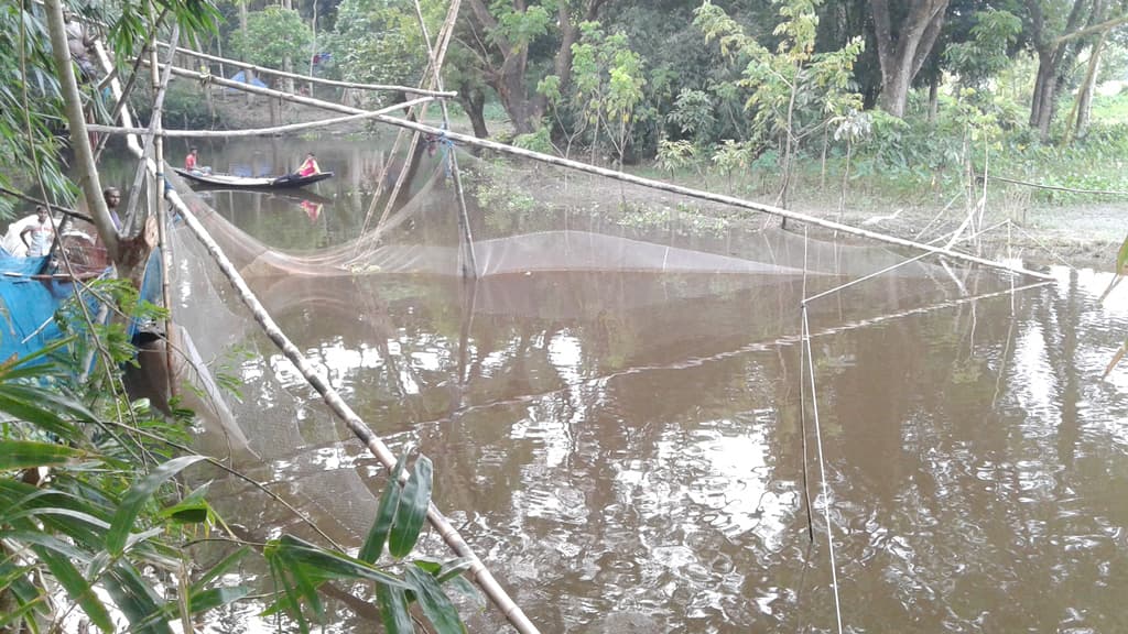 মাদারীপুরে কমেছে ভেসাল জালের ব্যবহার