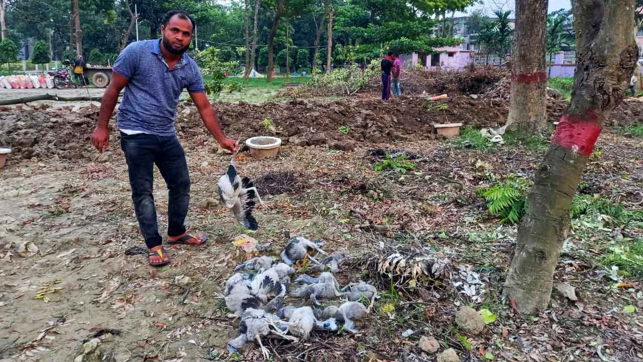 পাখি হত্যায় তিন কোটি টাকার ক্ষতি, আদালতে মামলা 