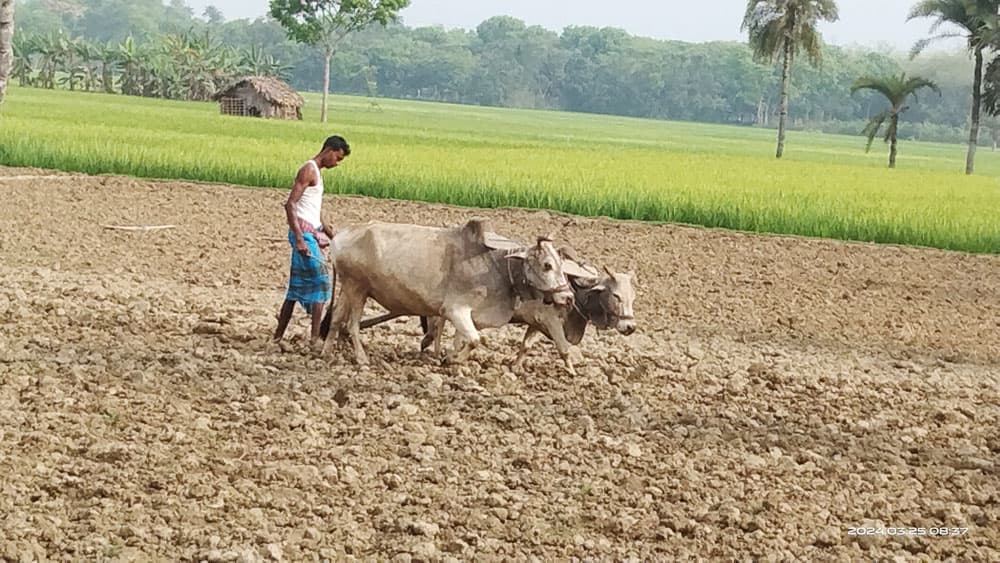 দিনের ছবি (২৯ মার্চ, ২০২৪)