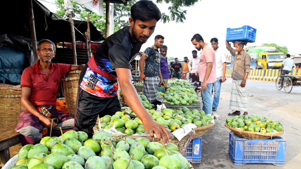 রাজশাহীতে এবার আমের বেশ দাম