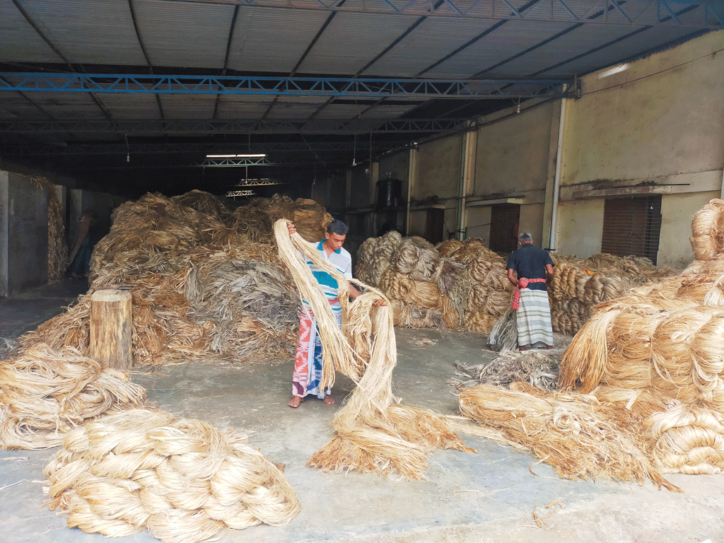 সোনালি আঁশ দামে বিবর্ণ