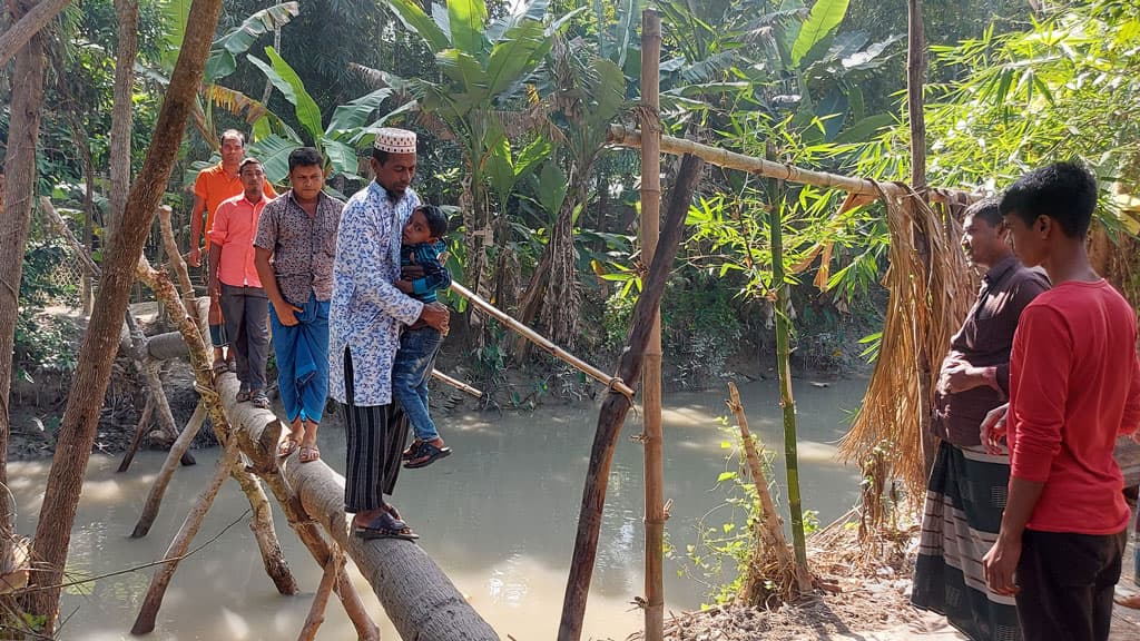 গাছের সাঁকোই ভরসা