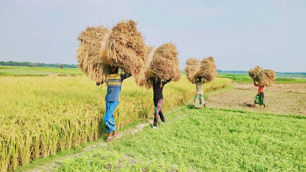 দিনের ছবি (২৯ এপ্রিল, ২০২৩)