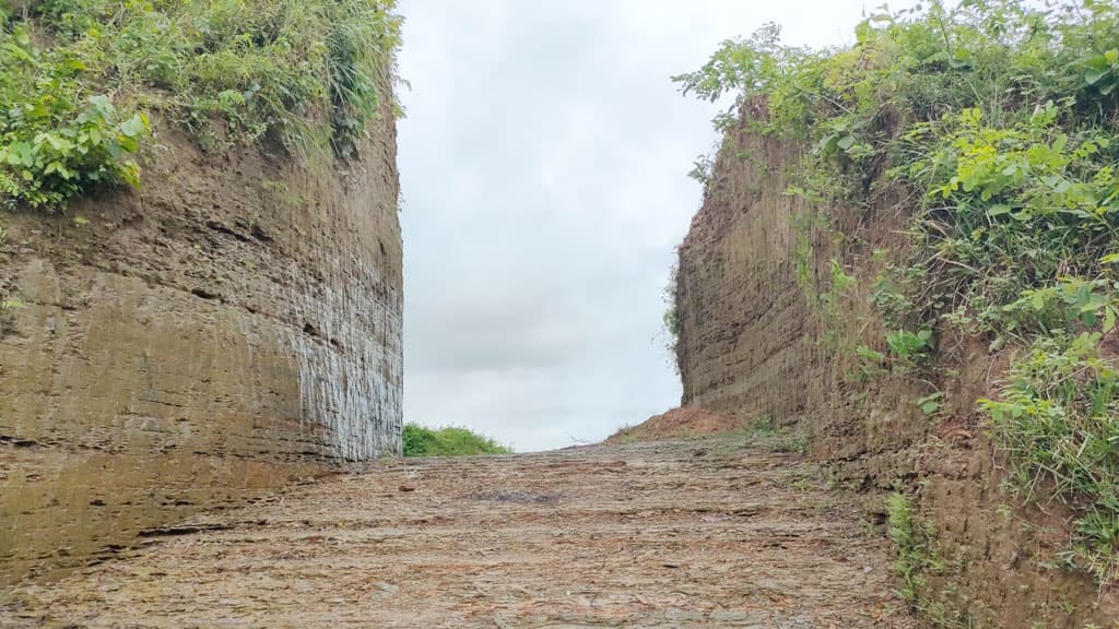 কক্সবাজারে পাহাড় কাটায় কৃষক লীগ নেতাসহ ৭ জনের বিরুদ্ধে মামলা