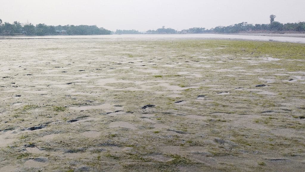 পলিতে ভরাট নদীর মুখ