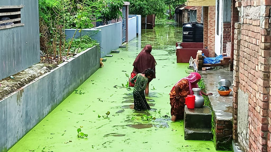 কেশবপুরে হরিহর নদের পানিতে লোকালয় প্লাবিত, দুর্ভোগে ১ হাজার পরিবার