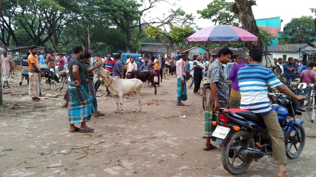 অব্যবস্থাপনায় হাটের বারোটা