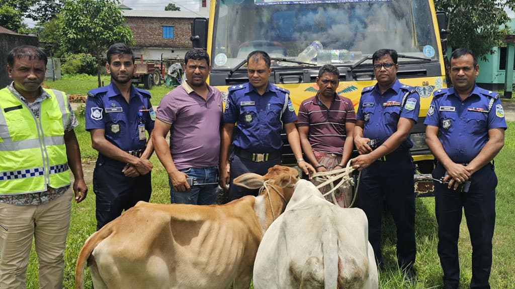 গরু চুরি করে পালানোর সময় পুলিশের কাছে ধরা 