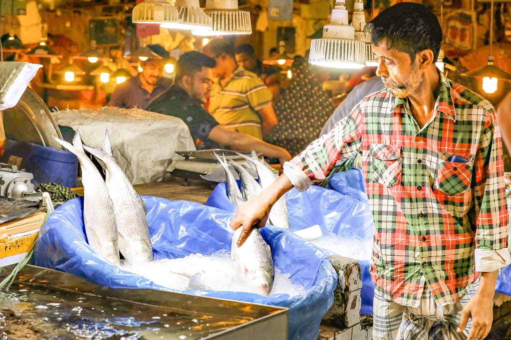 ইলিশ ঘিরে সংকট সীমিত রপ্তানিতে নয়