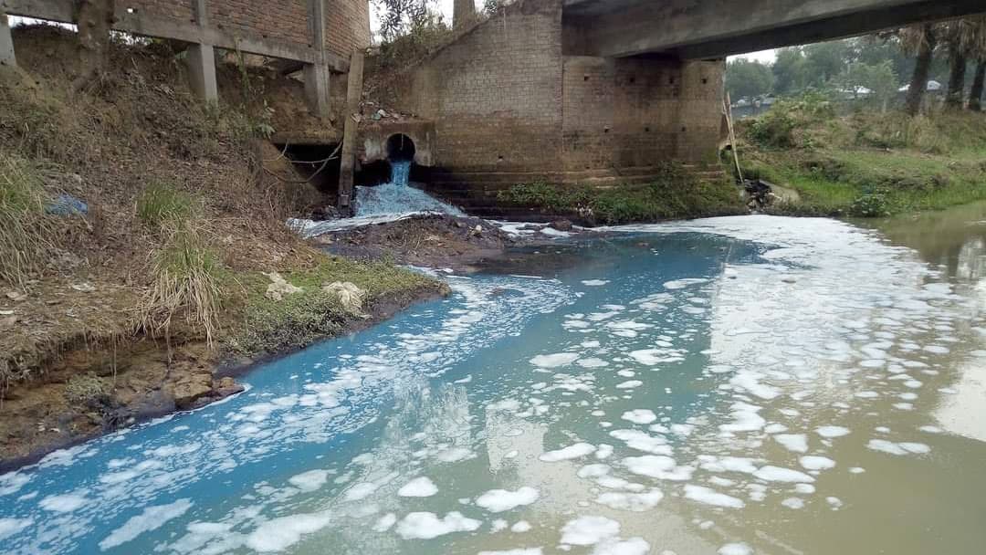 লাউতি খালের দূষণে কৃষি উৎপাদন ক্ষতিগ্রস্ত