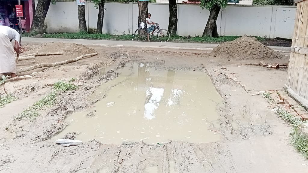 সড়ক উন্নয়ন প্রকল্পের নামে রাস্তার ইট তুলে নিয়ে যাওয়ার অভিযোগ