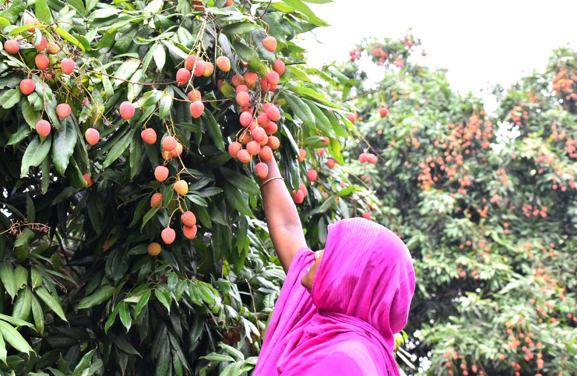 দিনের ছবি (১৯ মে, ২০২৪)