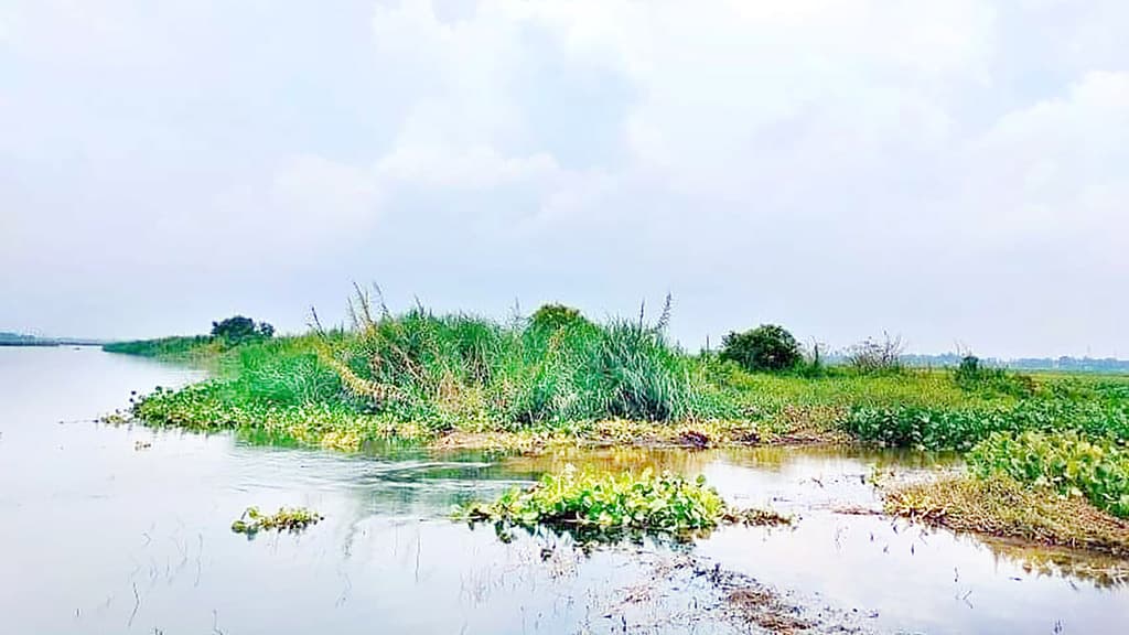 নাব্য হারাচ্ছে কলাতিয়া নদী, খননের দাবি