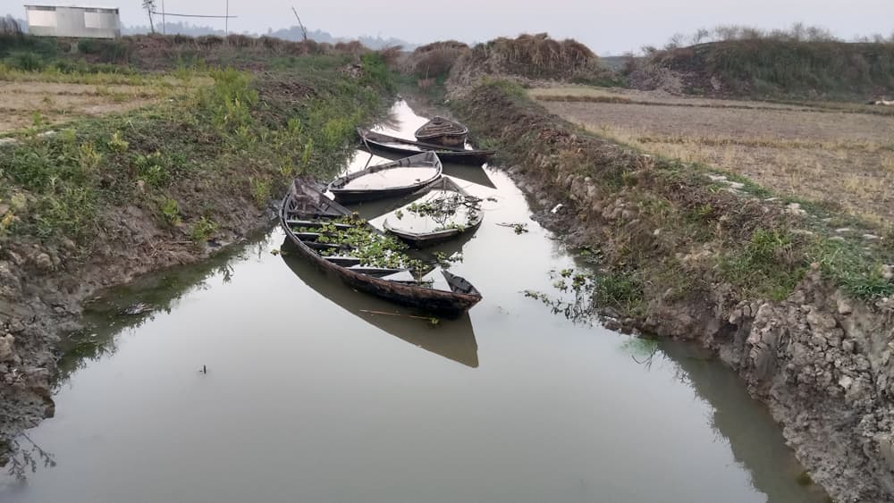 দিনের ছবি (১৩ মার্চ, ২০২৪)