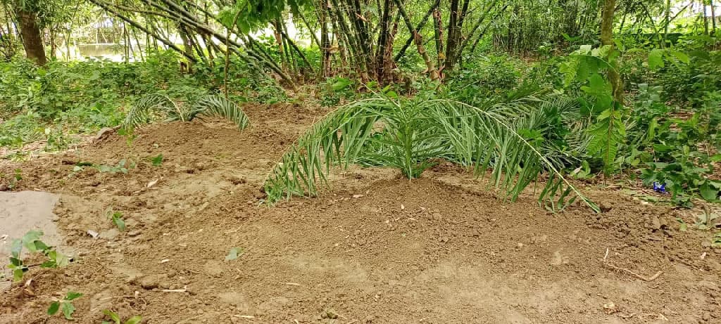 ৫ মিনিটের ব্যবধানে মা-ছেলের মৃত্যু