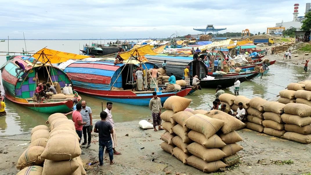 চাল আমদানির প্রভাব ধানে