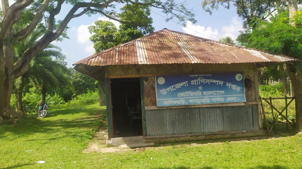 মানিকছড়িতে প্রাণিসম্পদের ১১ পদের ৭টিই খালি, খামারিদের ভোগান্তি