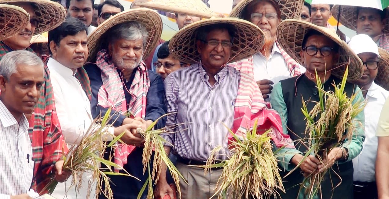 সুনামগঞ্জের বোরো ধান ছাড়া দেশে অভাব দেখা দেয়: কৃষিমন্ত্রী