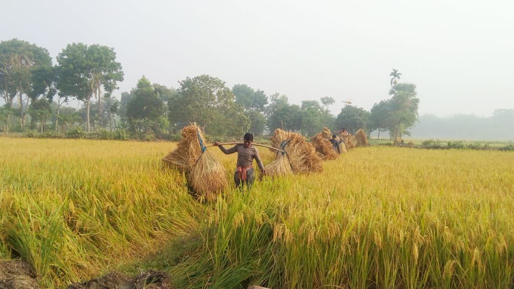 দিনের ছবি (১৮ এপ্রিল, ২০২৩)