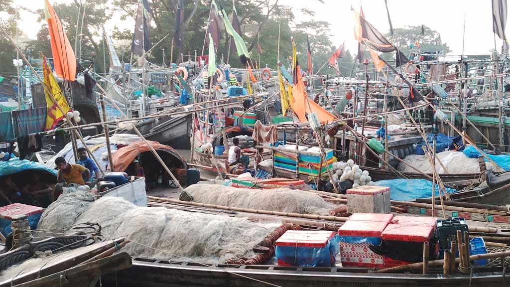 ইলিশ ধরা না পড়ায় মেঘনাপাড়ের অর্থনীতিতে বিরূপ প্রভাব