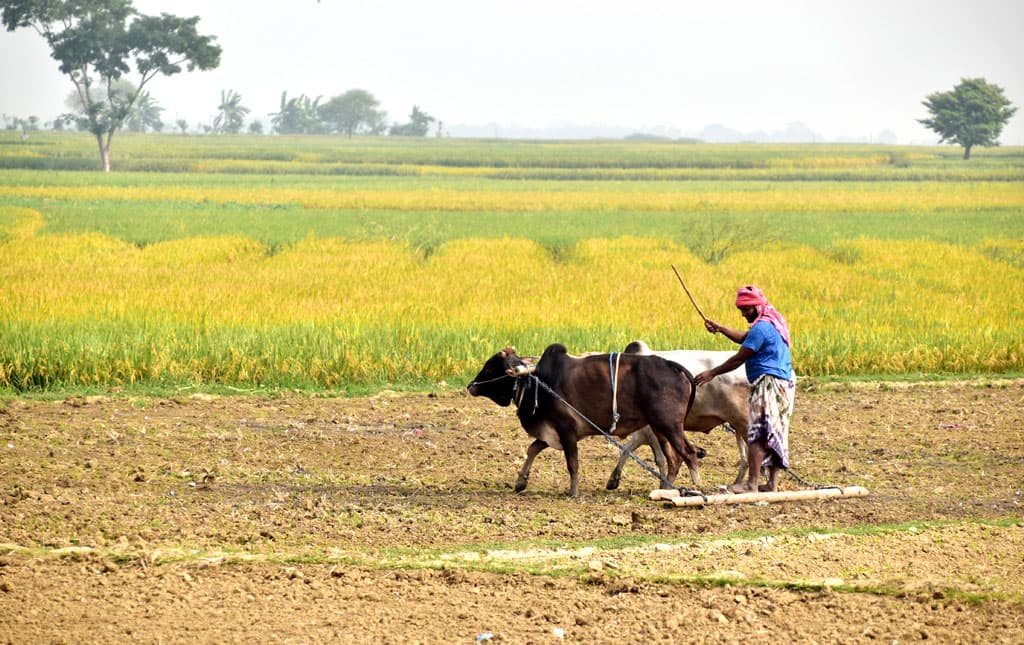 দিনের ছবি (৮ নভেম্বর, ২০২৩)