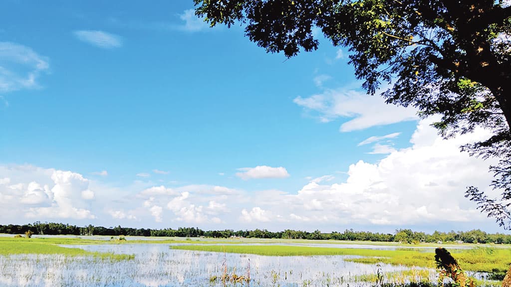 শরতের আকাশটা দেখুন