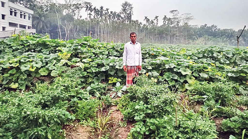 ত্রিশ বছর ধরে সবজিই তাঁর আয়ের প্রধান উৎস