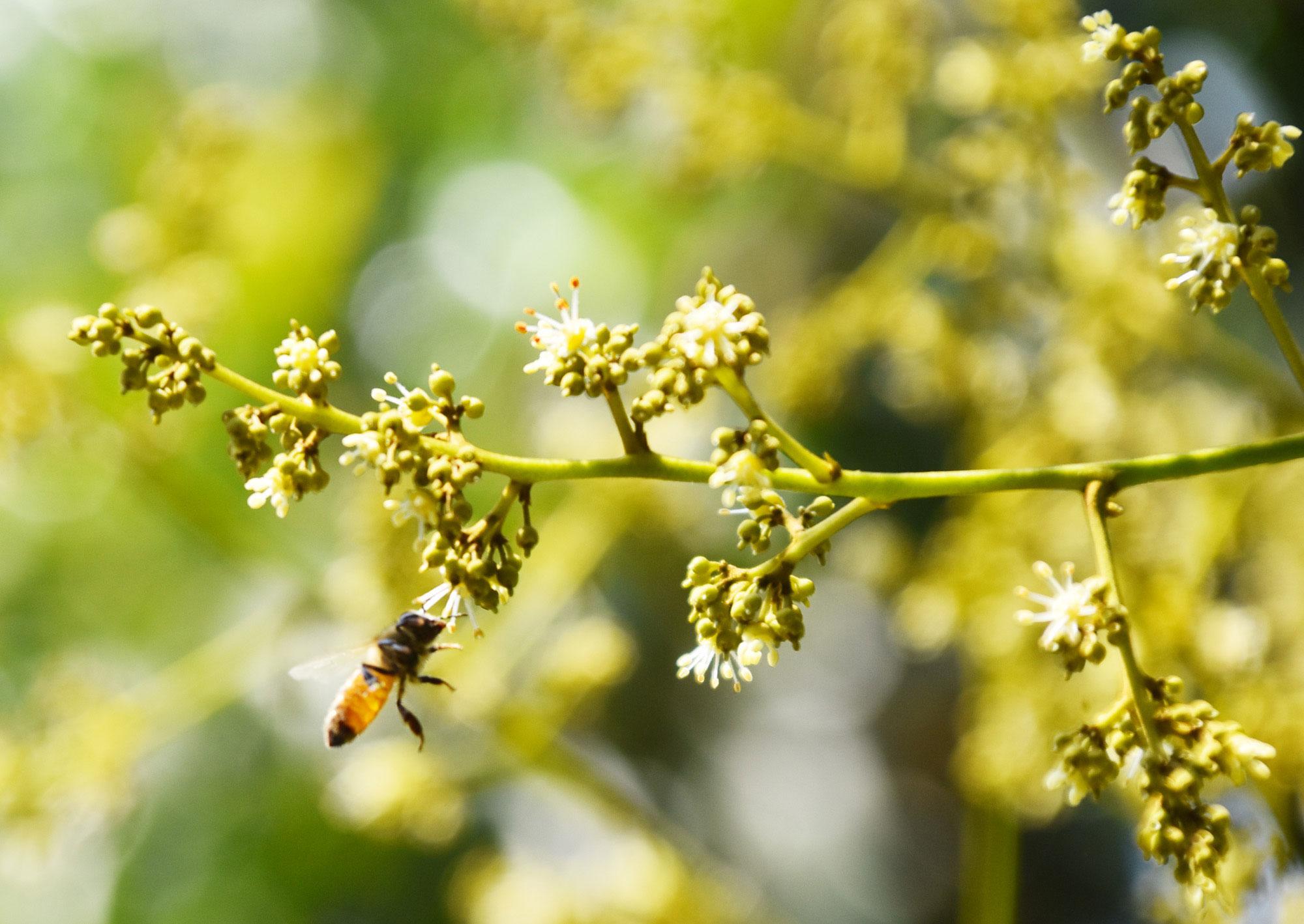 দিনের ছবি (১২ মার্চ, ২০২৪)