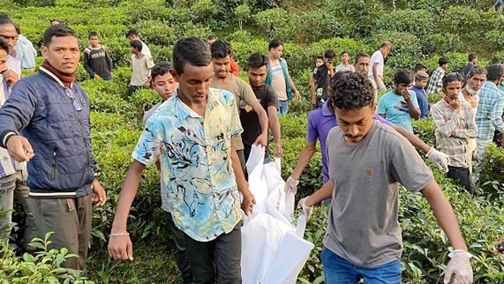 সিলেটে চা-বাগান থেকে যুবকের লাশ উদ্ধার, হাত খুবলে খেয়েছে বন্য প্রাণী