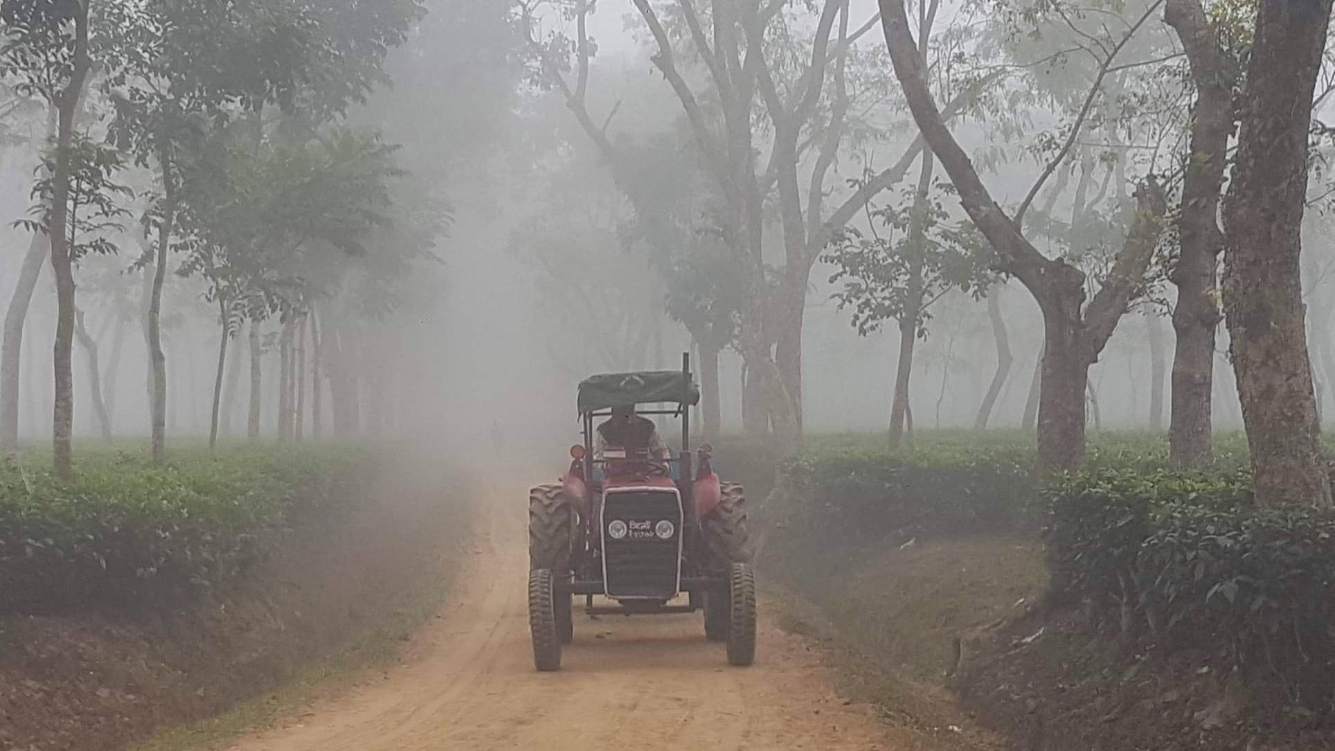 শীতে দুর্ভোগে মানুষ, সর্বনিম্ন তাপমাত্রা শ্রীমঙ্গলে