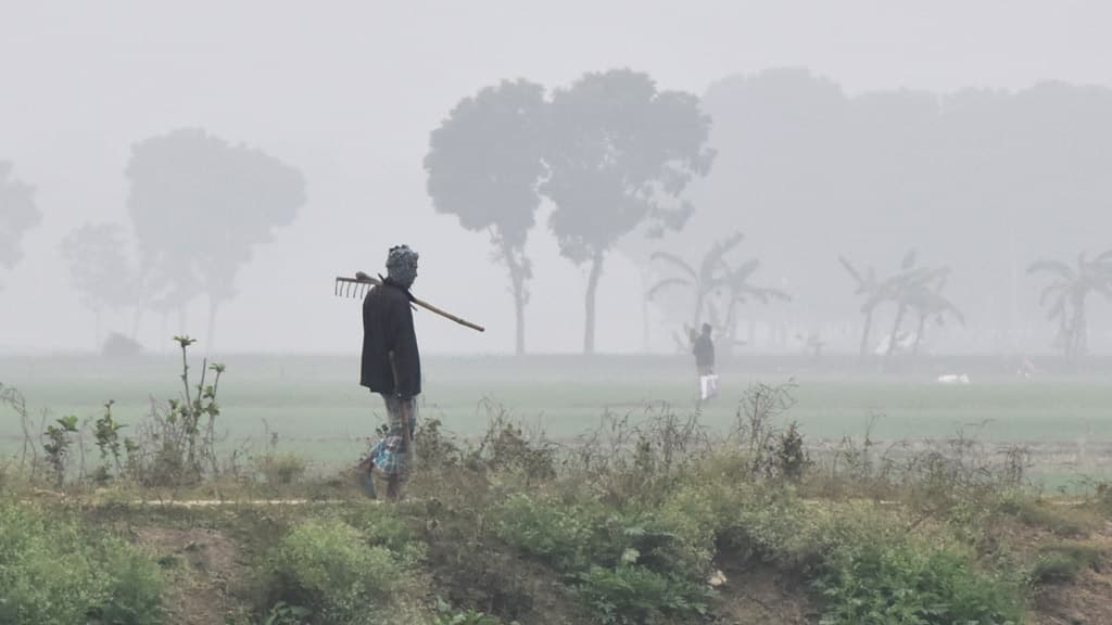 দিনের ছবি (৩ জানুয়ারি, ২০২৪)