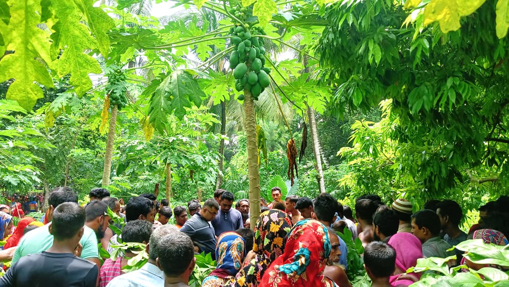 পেঁপে ‘চুরি’ করতে গিয়ে গাছ থেকে পড়ে এক ব্যক্তির মৃত্যু