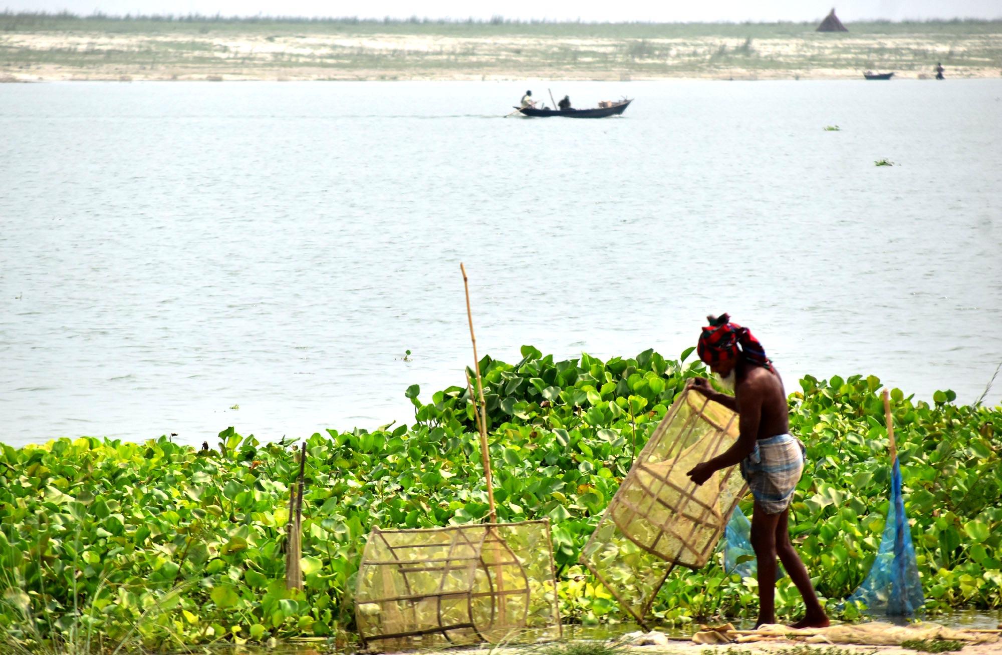 দিনের ছবি (২১ জুন, ২০২৪)